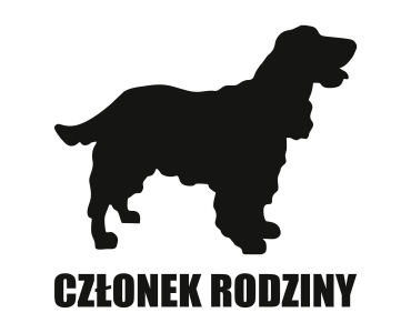 Naklejka Członek rodziny | Angielski cocker spaniel