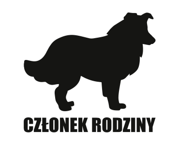 Naklejka Członek rodziny | Border collie