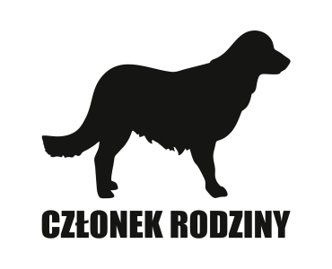 Naklejka Członek rodziny | Golden Retriever