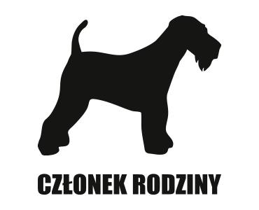 Naklejka Członek rodziny | Airedale Terrier